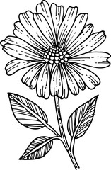 Line Flower and Leaves elements