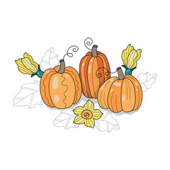 Vector set of orange pumpkins isolated on a white background