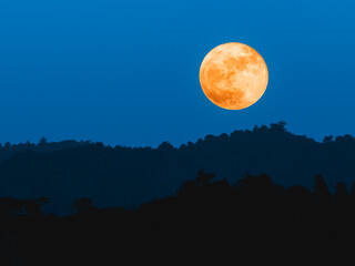 Beautiful Huge Sturgeon full moon 12 august 2022 from puerto rico. Astrology moon landscapes pictures in blue background and silhouettes. Sturgeon moon portrait with shadows mountains