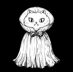 Magic cat in cloak sketch. Hand drawn vector illustration. Happy halloween. Witch cat illustration.