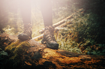 Hiking boots on log in mountain trail woods closeup - 523863806