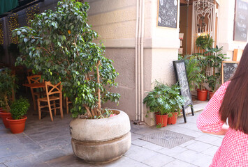 Fototapeta na wymiar small Spanish outdoor cafe with pot plants design and red table close up photo