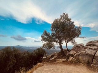 Collserola 
