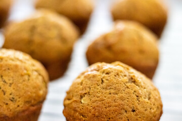 Freshly Baked Muffins on a Cooling Rack