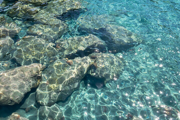 Fototapeta na wymiar Transparent aquamarine sea water surface with shiny sparkles, many small fish and rocks underwater
