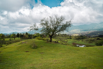 landscape with sky