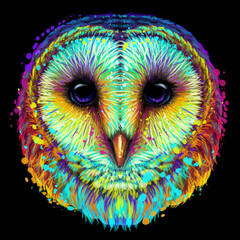 Barn owl. Abstract, neon, graphic  portrait of an owl in the style of pop art on a black background. Digital vector drawing