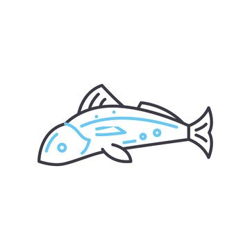 recommend clip art: trout line icon, outline symbol, vector illustration, concept sign