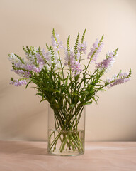 A bouquet of Obediant plants flowers in a vase on light beige background.