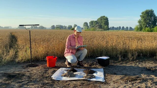 Woman agriculturist soil sampling, taking notes in digital tablet at agricultural grain field at sunrise. Female agronomy specialist working outdoors. Environment research, soil certification