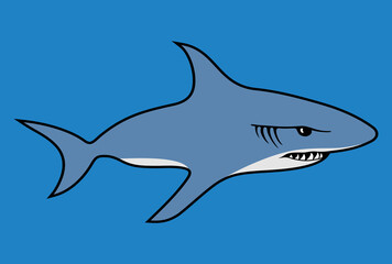 shark in the sea
