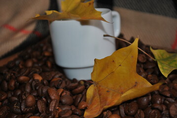 cup of coffee