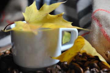 cup of coffee