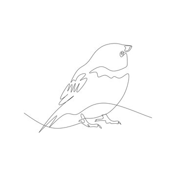 recommend clip art: sketch of a bird