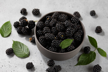 Fototapeta na wymiar Ripe blackberries with leaves in bowl on gray background