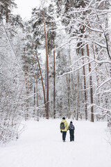 Rear view of father with backpack and little sons holding hand walking together in winter snowy forest. Wintertime activity outdoors. Concept of local travel and family weekend