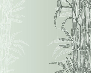 banner background bamboo sketch hand drawn vector - obrazy, fototapety, plakaty
