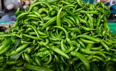 Group of green peppers 