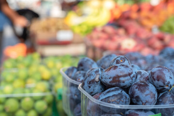 Close-up of fruit plum at a street food market in Padova Italy