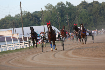 Horse and rider running in the dust at horse races