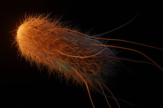 A flagellated bacteria or microbe, 3d rendering medical illustration. E coli or other bacterial microorganism