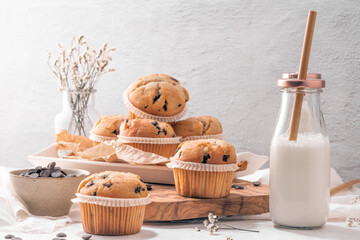 Chocolate chip muffins with milk - obrazy, fototapety, plakaty