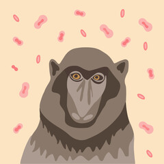Vector illustration on the theme of monkey pox.