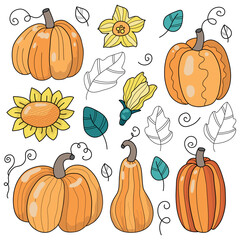 Vector Set of Pumpkins in Flat Style