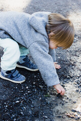 A boy of a year and a half in a gray coat and blue pants collects stones in a puddle