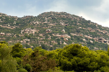 Fototapeta na wymiar Low angle view of a mountain during the Spring season