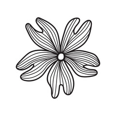 One hand drawn flower in line art style. Black vector illustration isolated on white background.