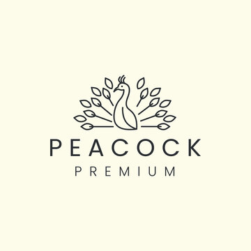 peacock bird with minimalist linear style logo vector icon template design illustration