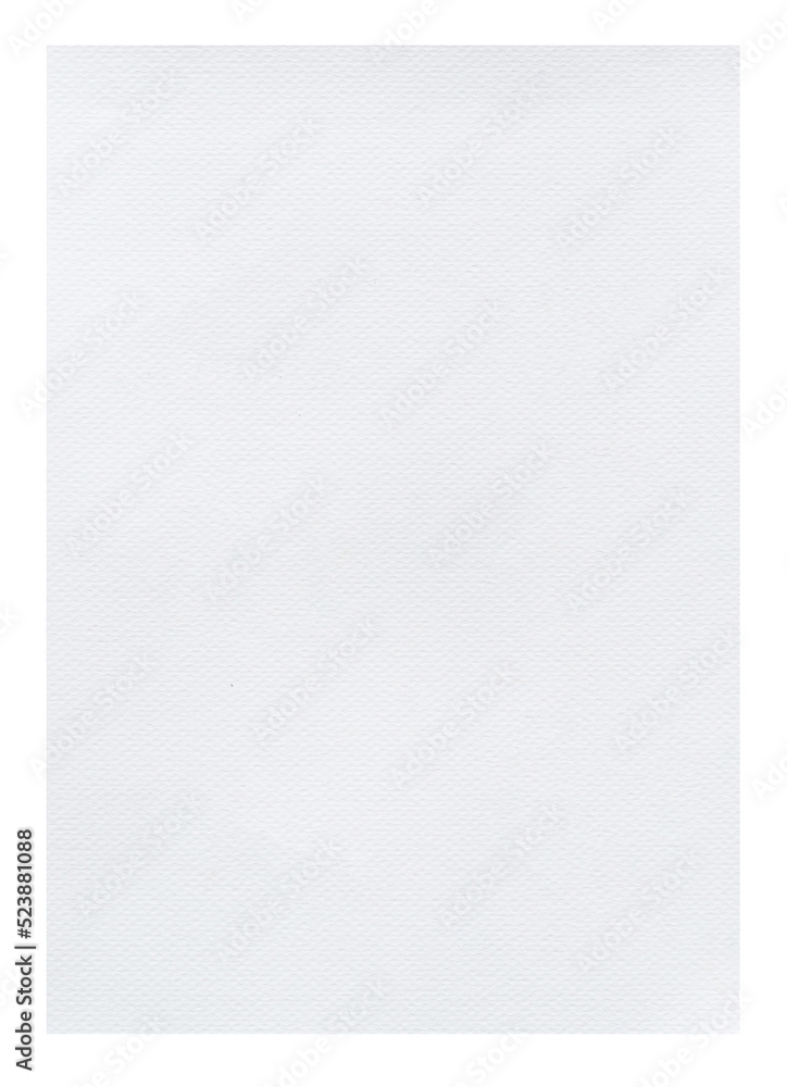 Wall mural blank white paper