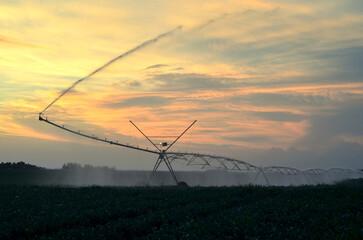 Fototapeta na wymiar Agricultural irrigation system watering corn field in summer