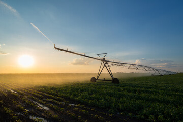 Agricultural irrigation system watering soy bean field in summer