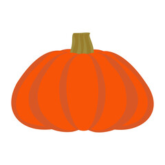 Pumpkin Design element Gourd illustration for Halloween and Thanksgiving Day Farm product Vector illustration Isolated on white background