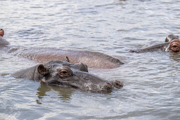 Obraz premium creative