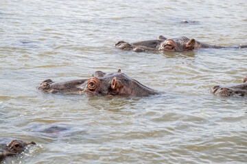 Fototapeta premium creative