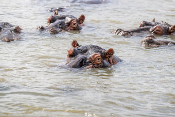 Fototapeta premium creative