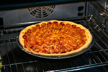 Mirabelle plum tart baked in a backing pan in the oven. - obrazy, fototapety, plakaty