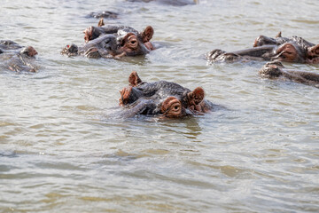 Fototapeta premium creative