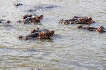 Fototapeta premium creative