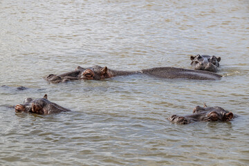 Fototapeta premium creative