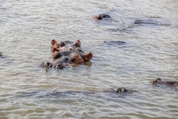 Fototapeta premium creative