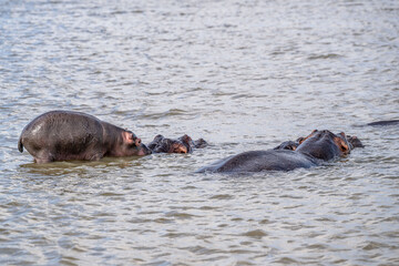 Fototapeta premium creative