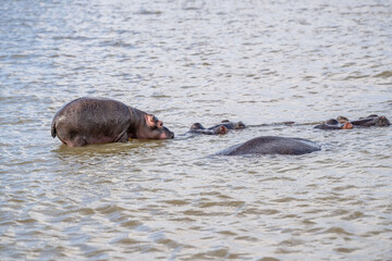 Fototapeta premium creative