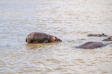 Fototapeta premium creative
