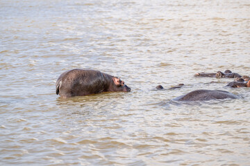Fototapeta premium creative