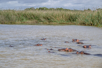 Fototapeta premium creative