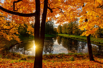 Catherine park in autumn, Tsarskoe Selo (Pushkin), Saint Petersburg, Russia